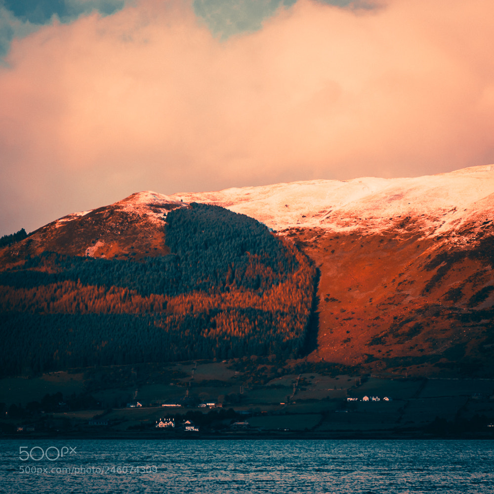 Nikon D5600 sample photo. Carlingford view 1 photography