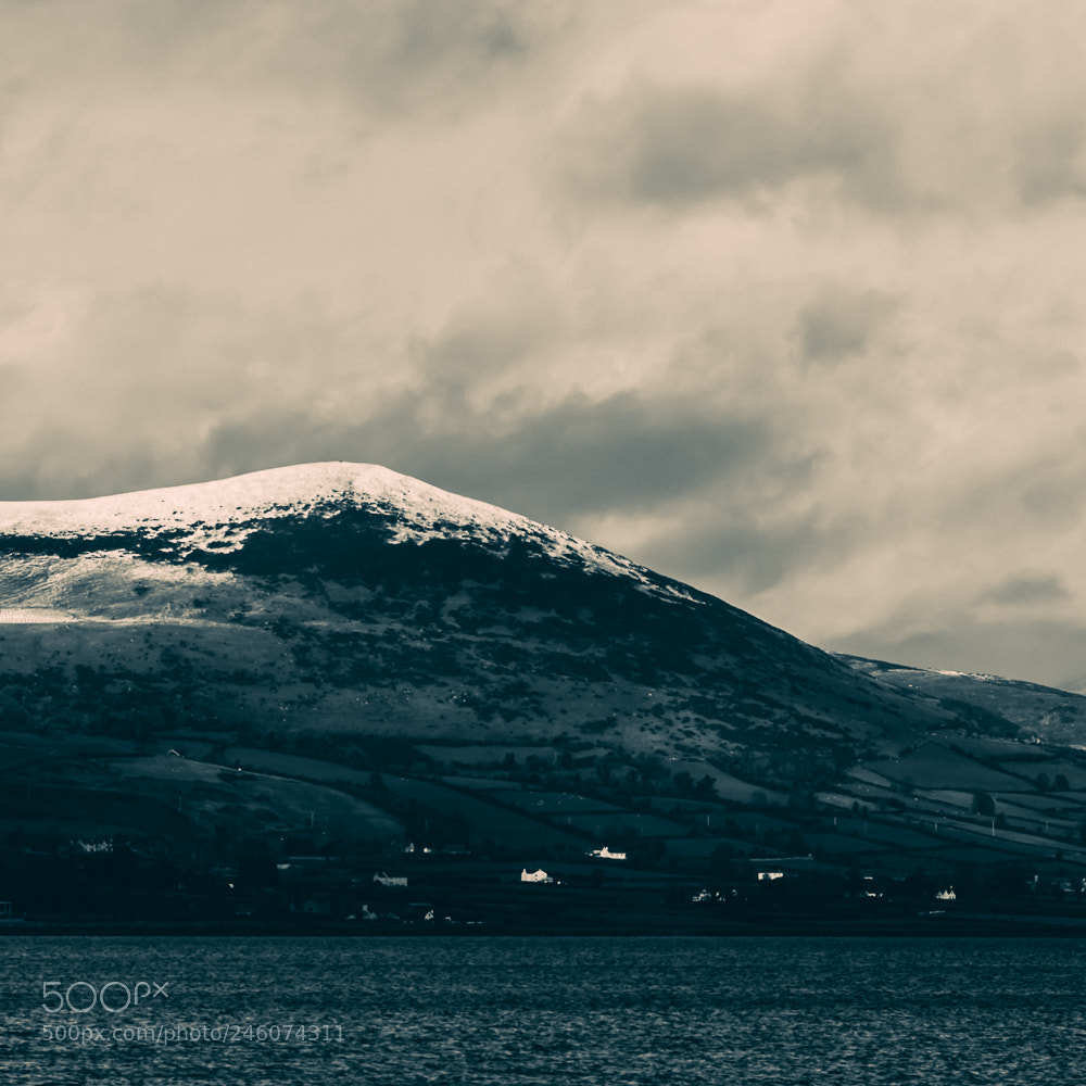Nikon D5600 sample photo. Carlingford view 1 photography