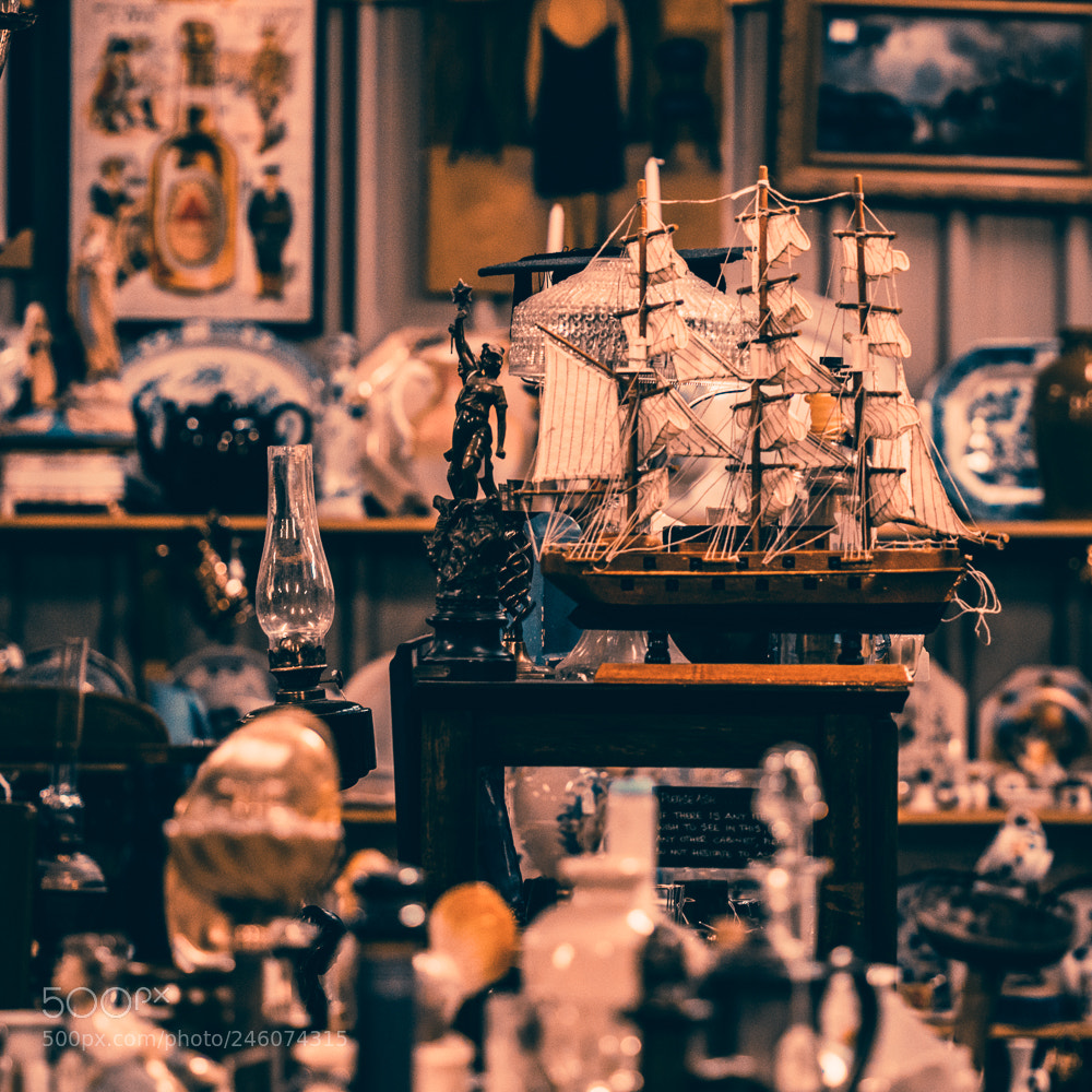 Nikon D5600 sample photo. Junk or magic? photography