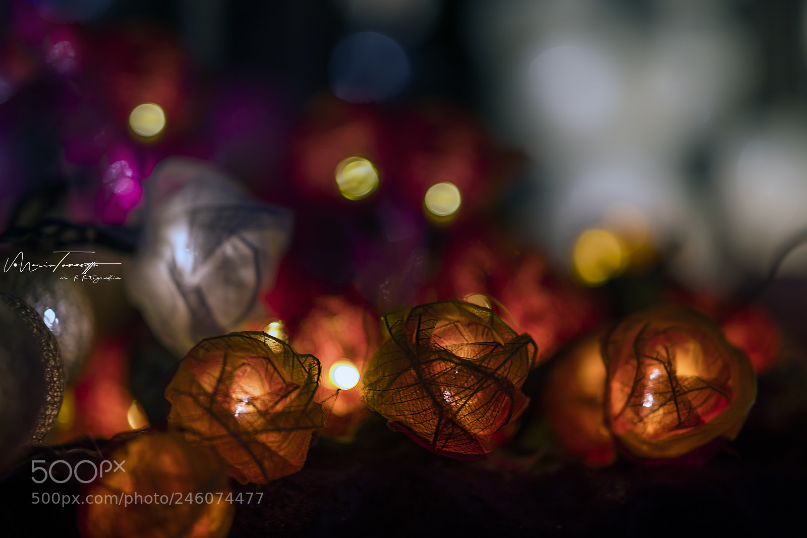 Nikon D850 sample photo. Rathaus christmas market () photography