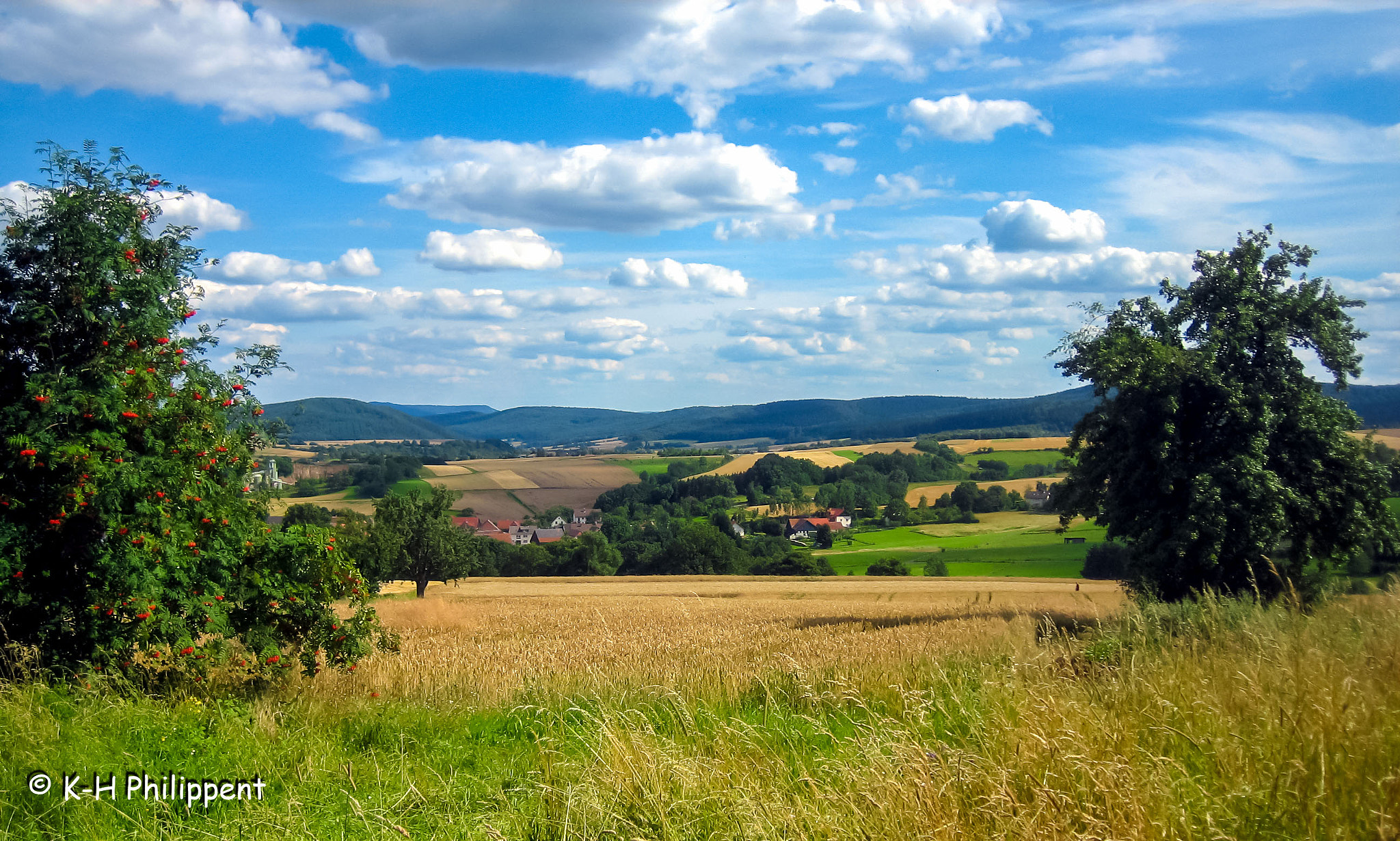 Canon DIGITAL IXUS 50 sample photo. Meißner (germany), landscape in midsummer / landschaft im hochsommer photography