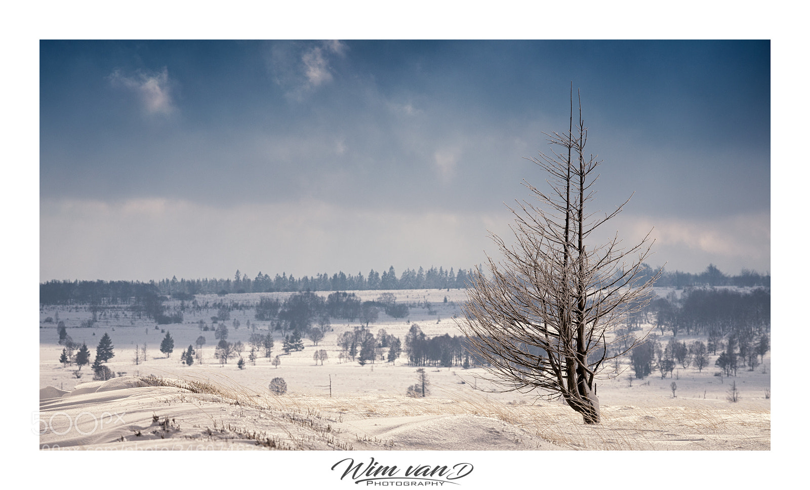 Canon EOS 6D Mark II sample photo. Winter in belgium photography