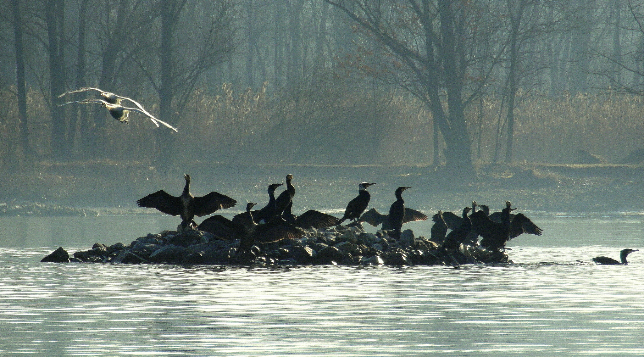 Samsung WB750 sample photo. Crowded island photography