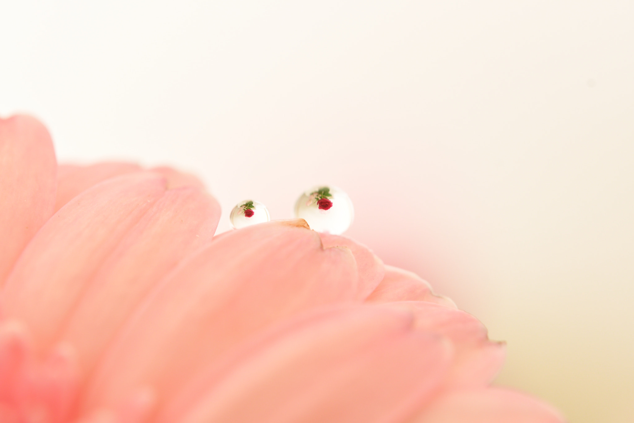 Nikon AF-S Micro-Nikkor 60mm F2.8G ED sample photo. Drops photography