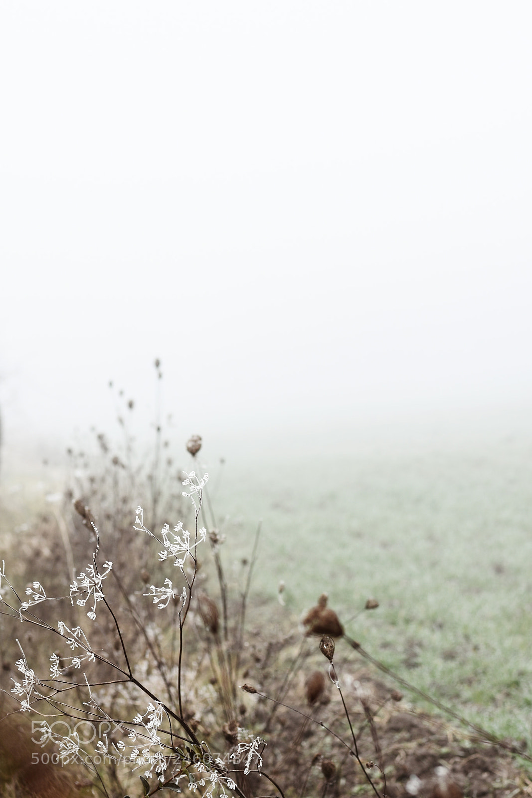 Nikon D7200 sample photo. Village photography