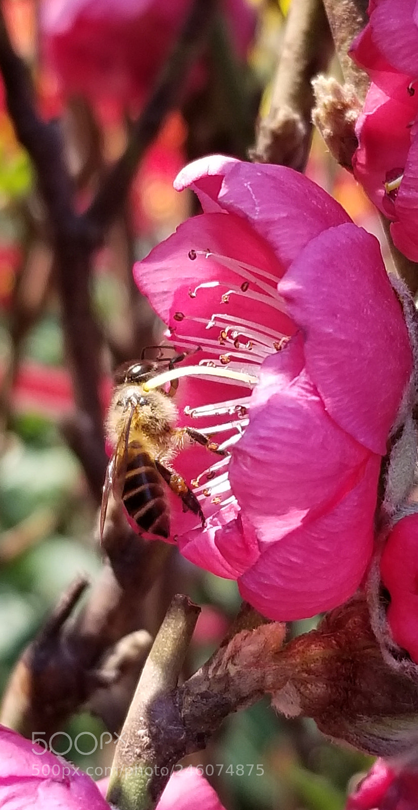 Samsung Galaxy S8 sample photo. Untitled photography