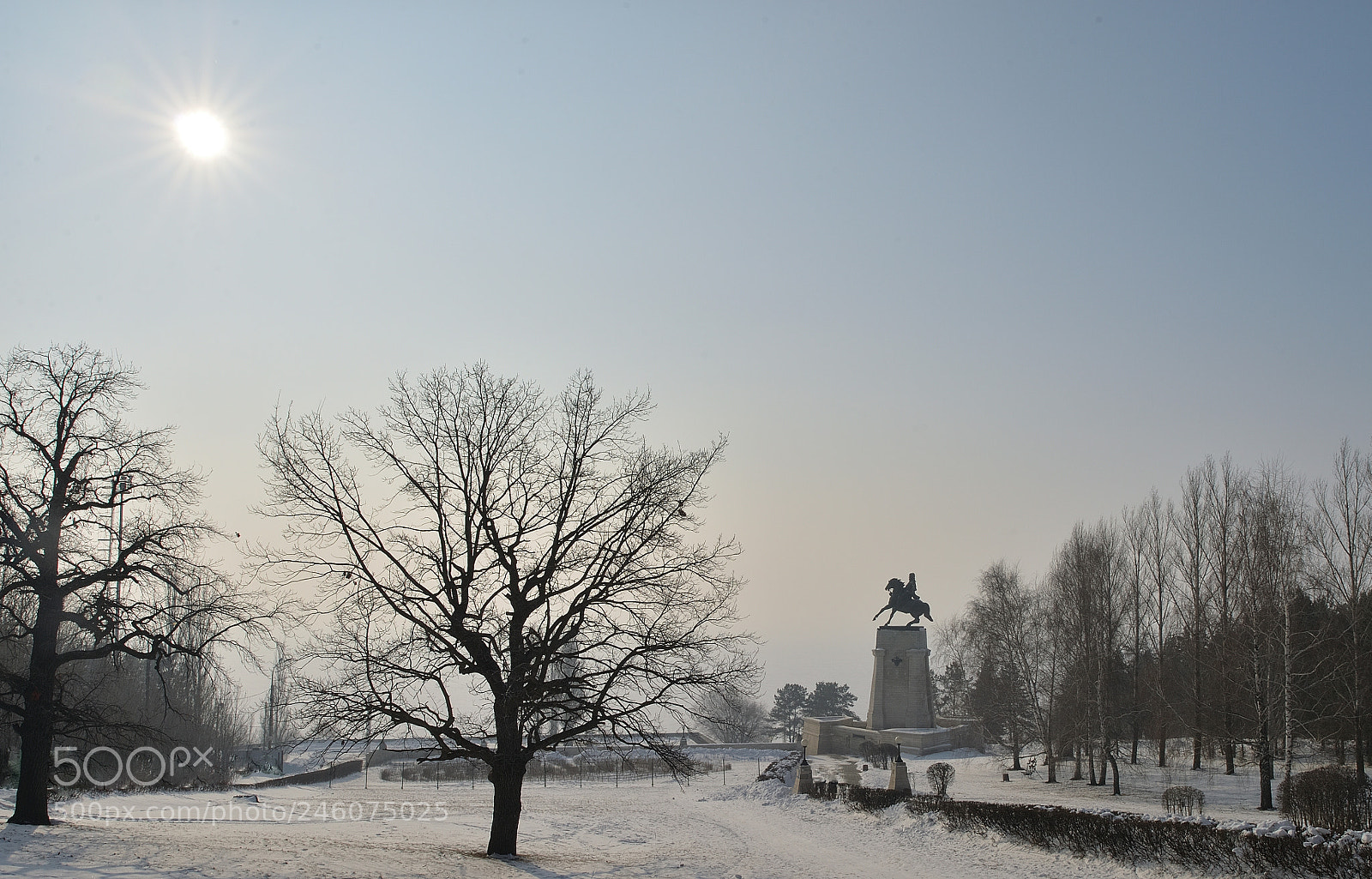 Nikon Df sample photo. Morning misty photography