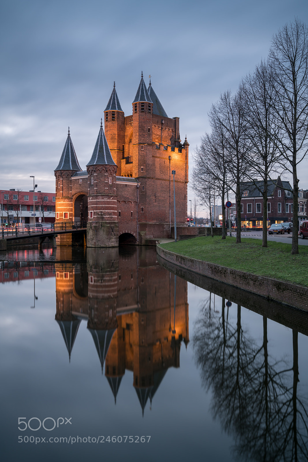 Sony a7R III sample photo. Still standing photography