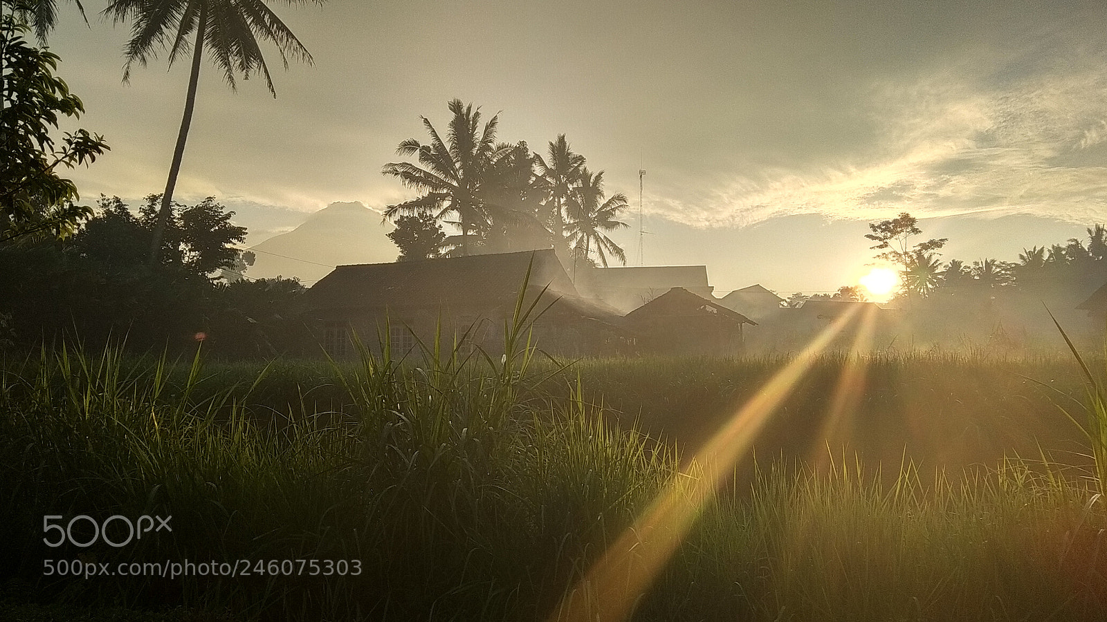 Xiaomi Redmi Note 5A sample photo. Untitled photography