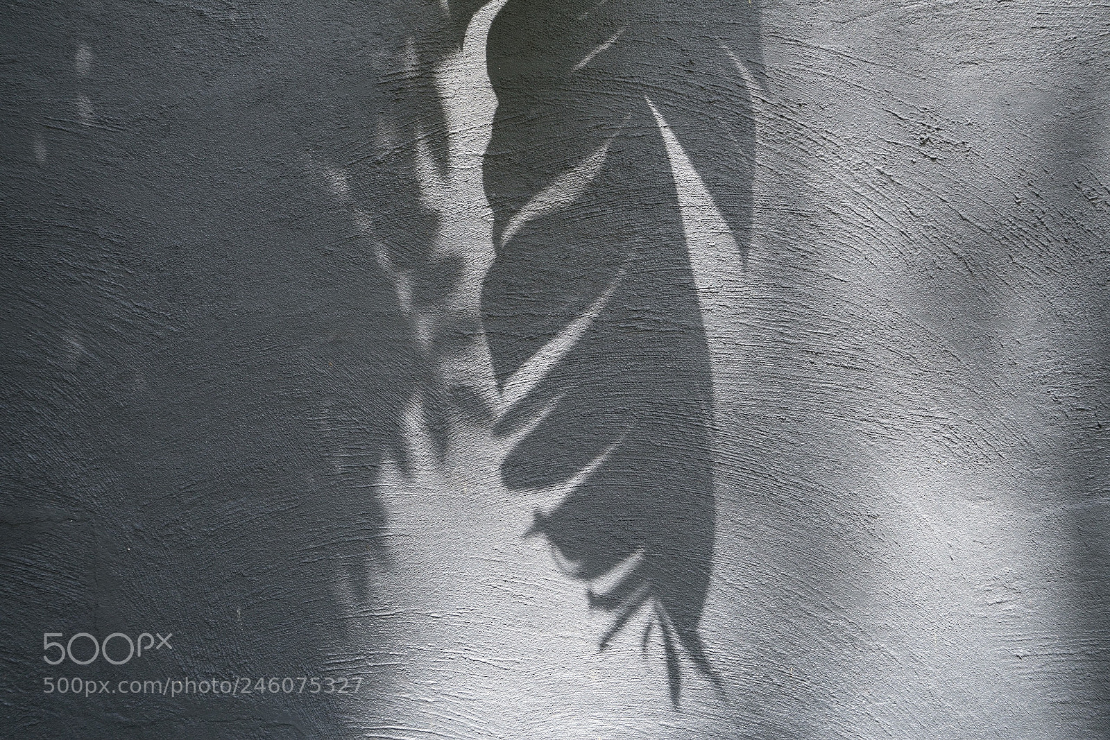Sony a7R II sample photo. Shadows on the wall photography