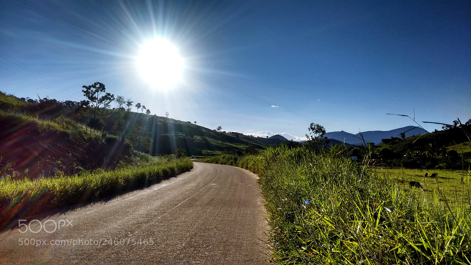 Motorola Moto G (2nd Gen) sample photo. O brilho violento da photography