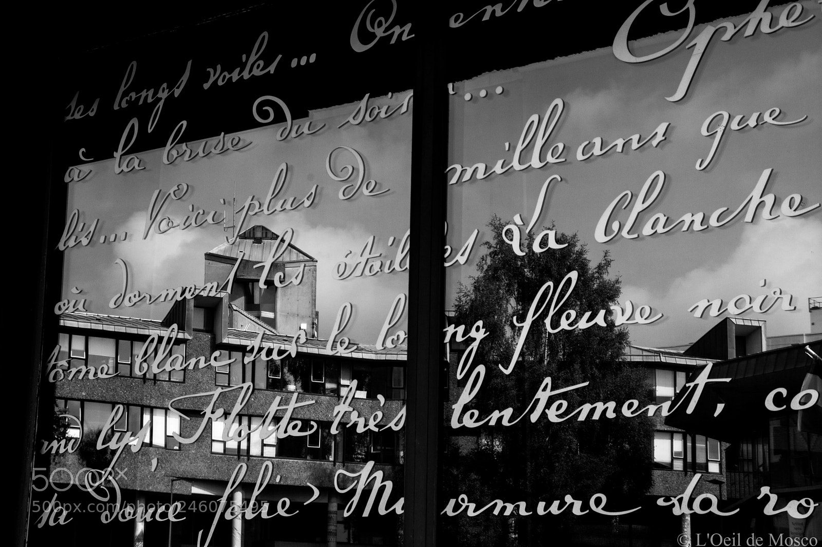 Nikon D7100 sample photo. Poème - poem photography