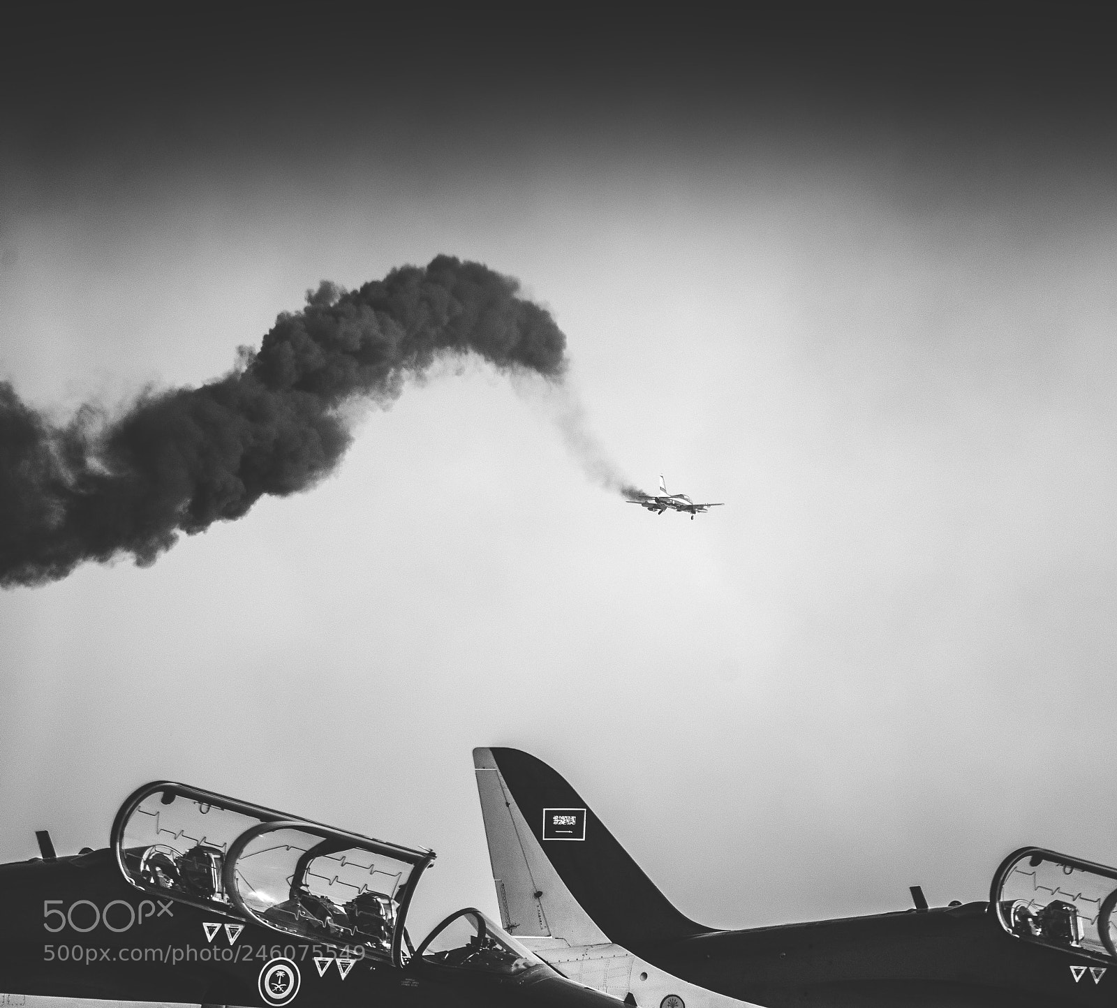 Canon EOS-1D X sample photo. Saudi hawks photography
