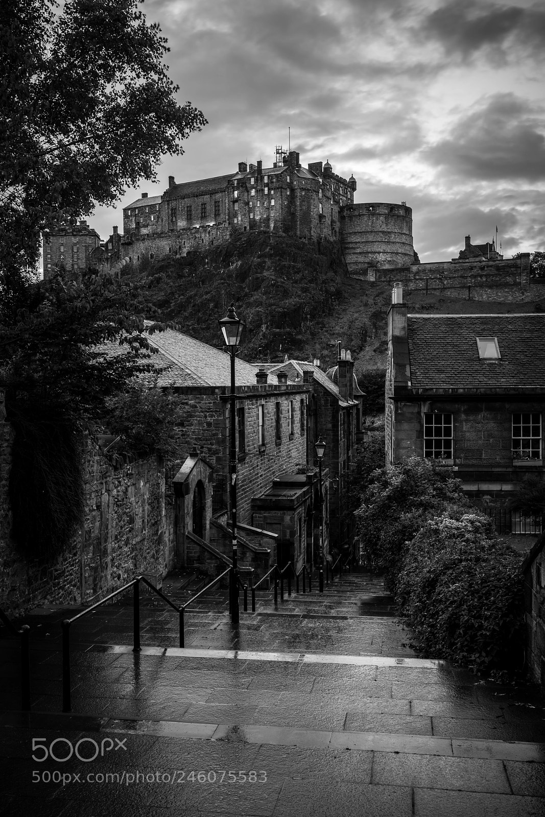 Sony a7R II sample photo. The vennel photography