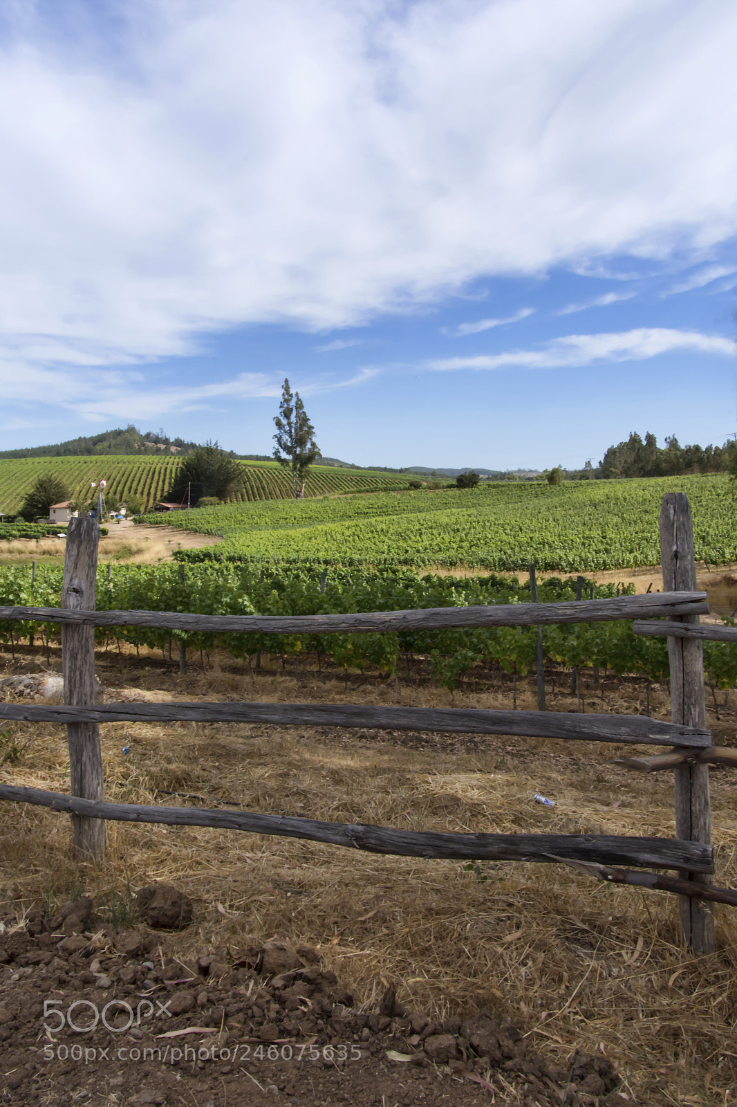 Nikon D7200 sample photo. Wine country photography