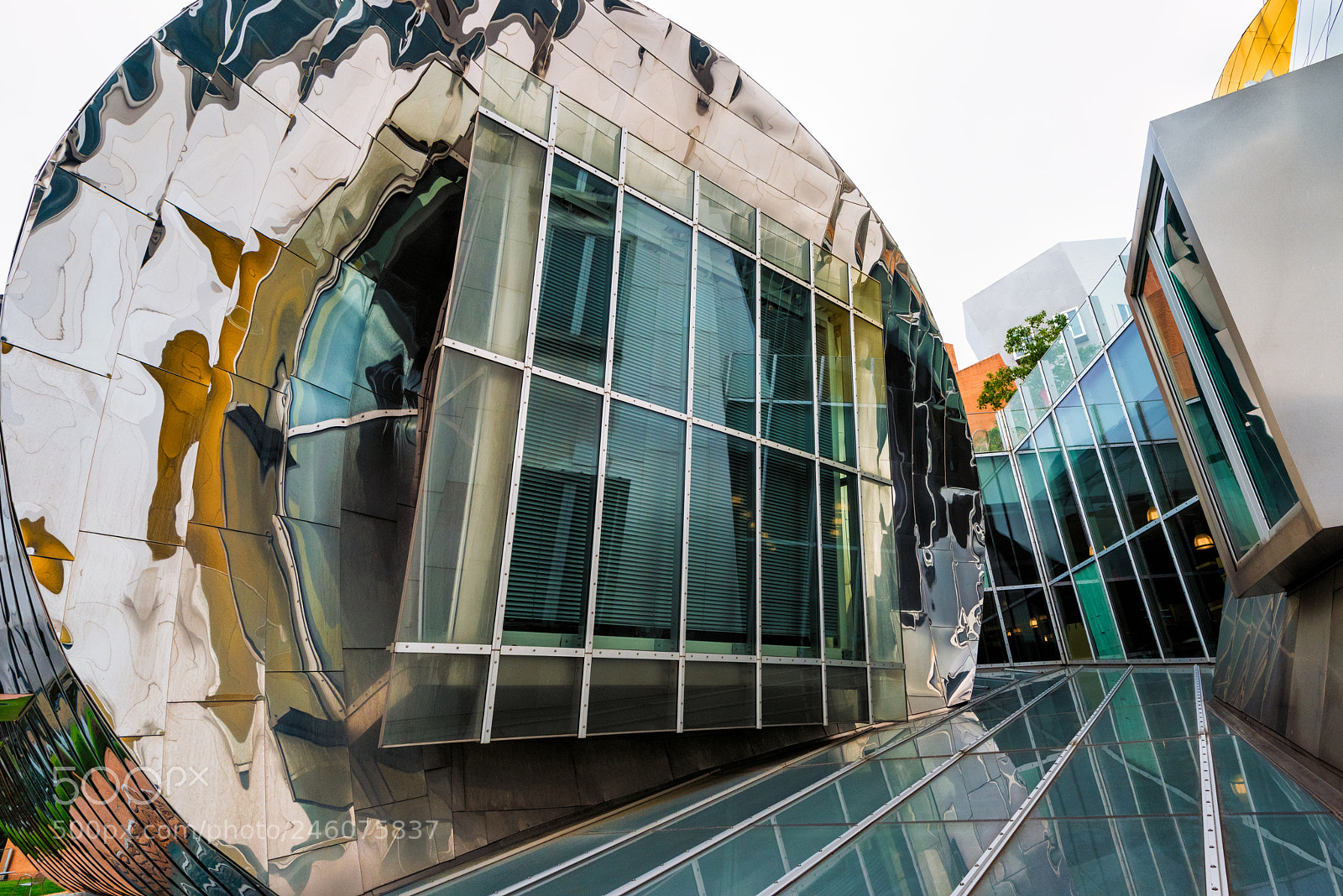 Nikon D810 sample photo. Stata center photography