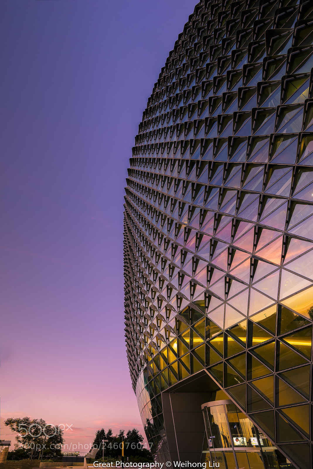 Nikon D810 sample photo. Sunset reflection over a photography