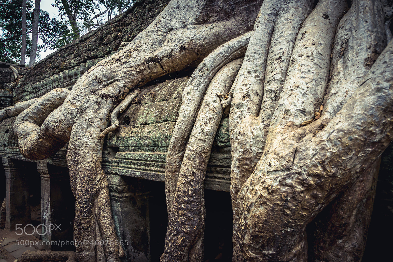 Sony a7R sample photo. Ta prohm photography