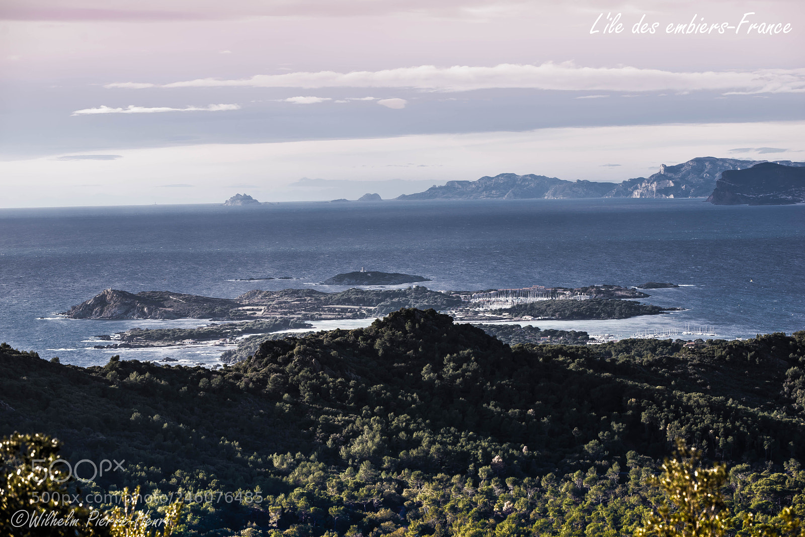 Nikon D610 sample photo. Untitled photography