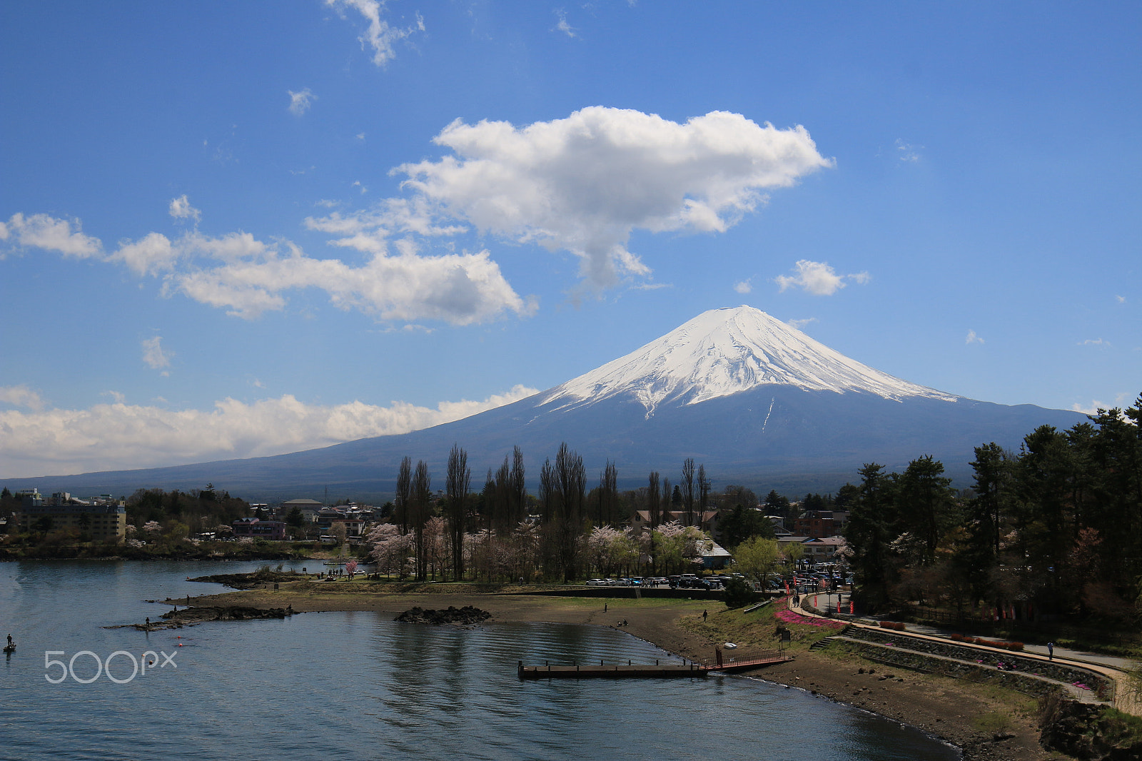 Canon EF 16-35mm F4L IS USM sample photo. Spring @mt.fuji photography
