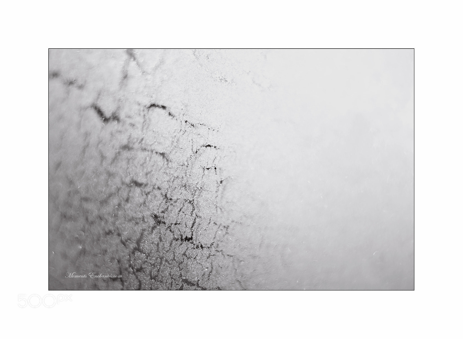 Pentax K-5 sample photo. Givré photography