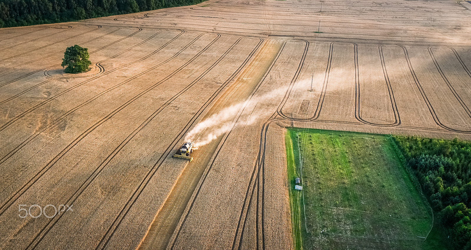 DJI FC6520 sample photo. Harvester in rye field photography