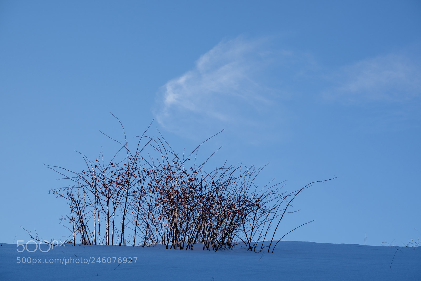 Fujifilm X-T1 sample photo. 02163: winterkomposition photography