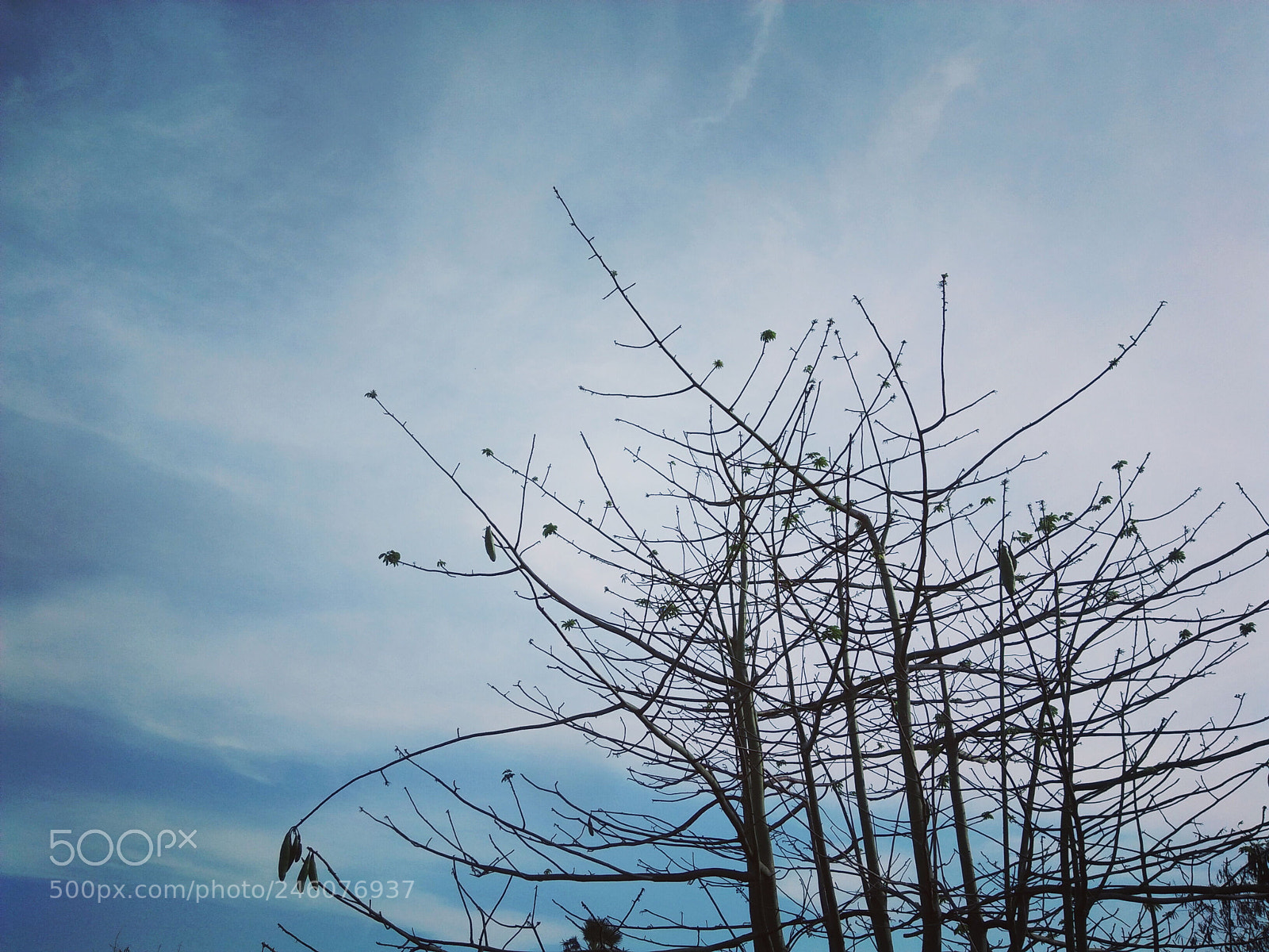OPPO A37fw-International sample photo. Untitled photography