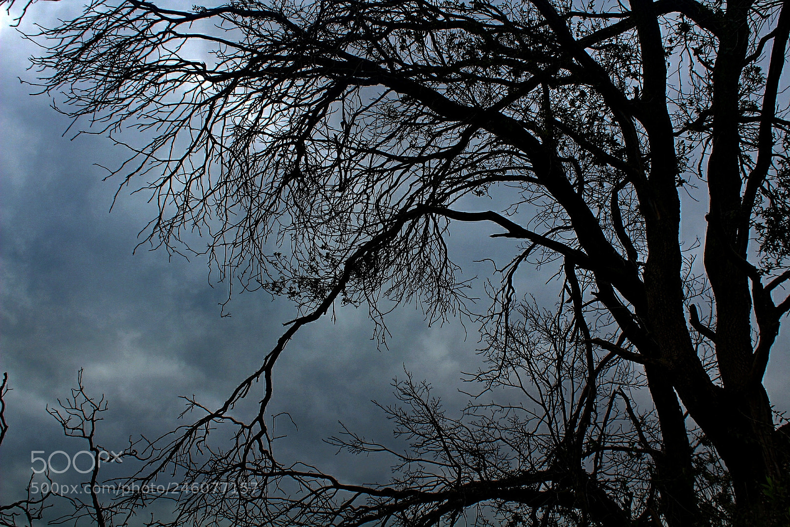 Canon EOS 1300D (EOS Rebel T6 / EOS Kiss X80) sample photo. A storm is coming photography