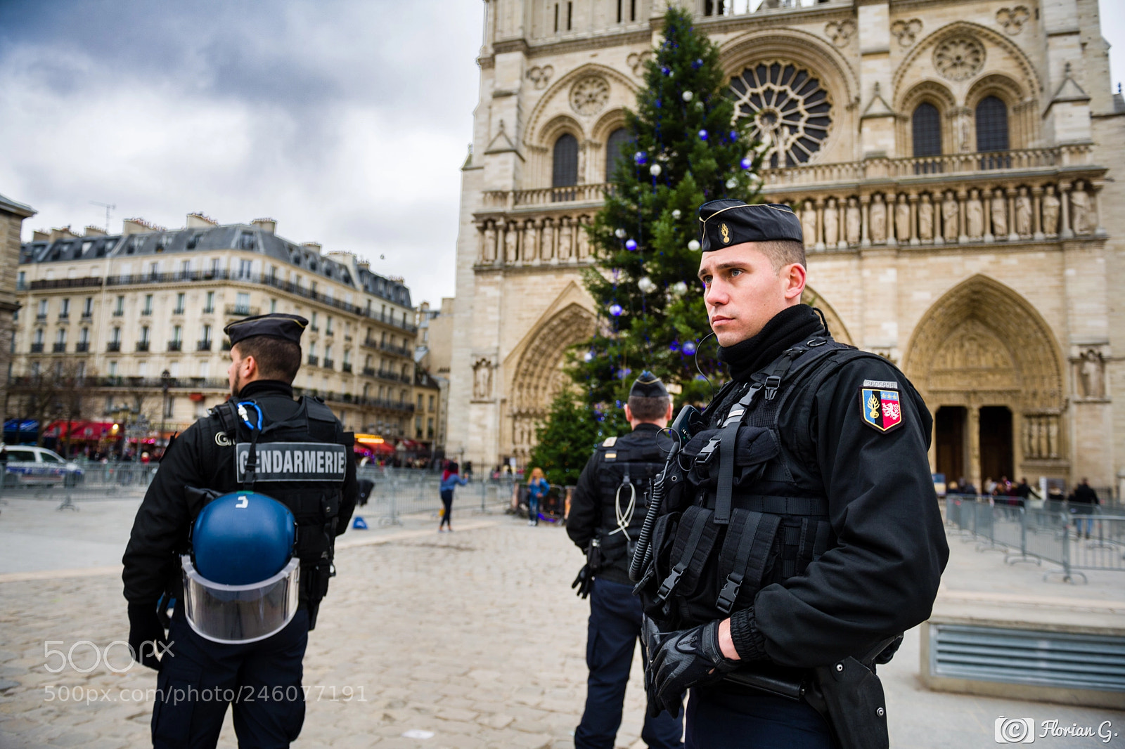 Nikon D5 sample photo. Gardiens de notre-dame photography