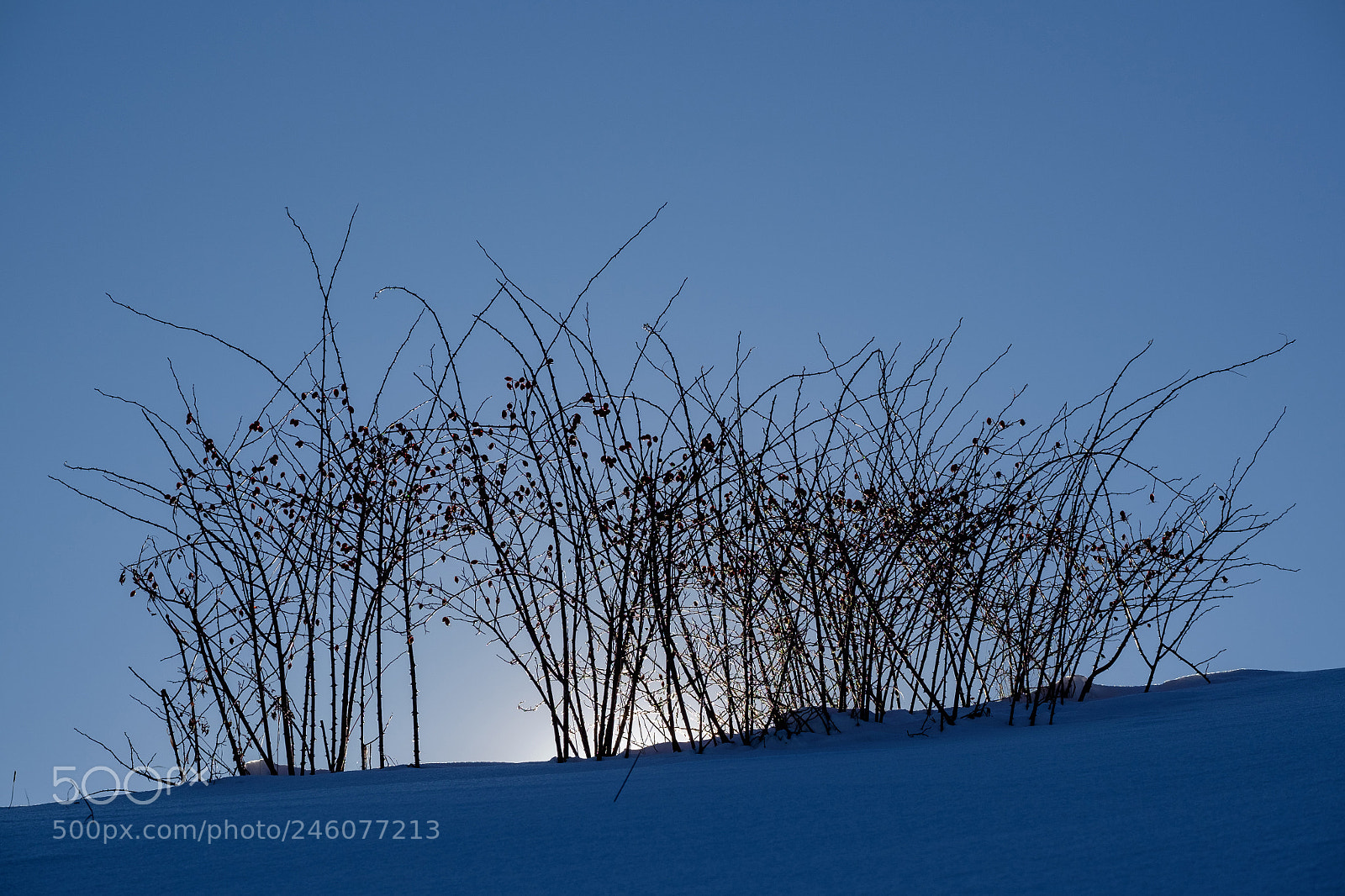 Fujifilm X-T1 sample photo. 02164: hinter dem horizont photography