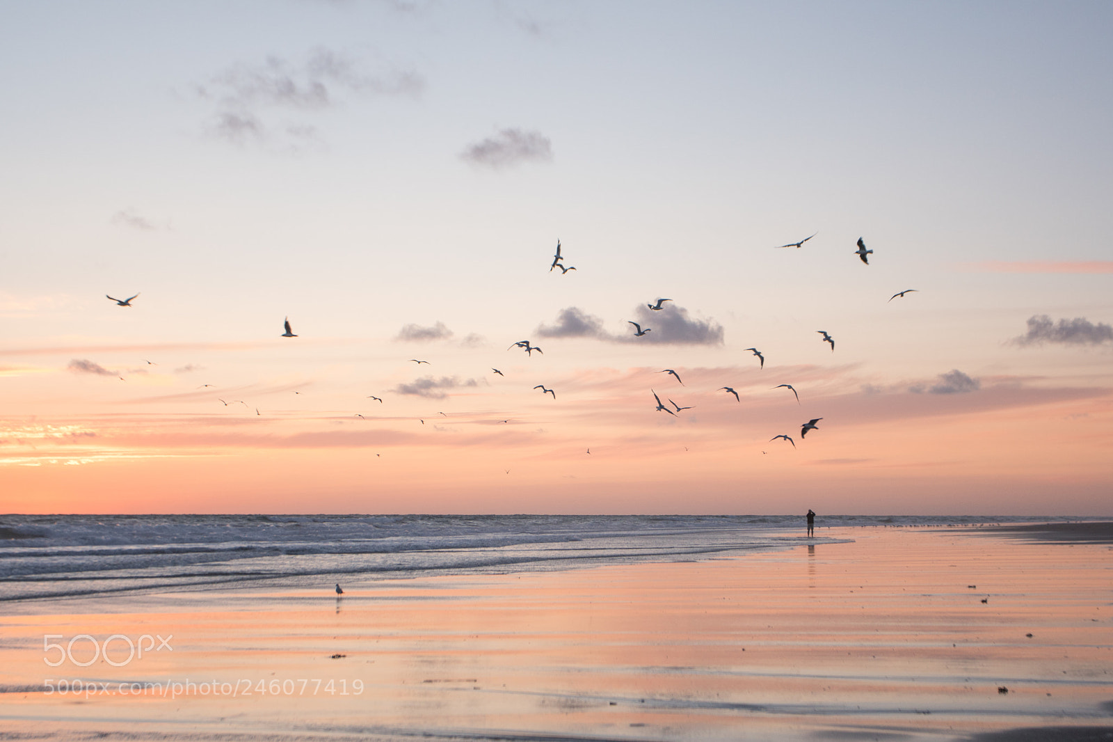 Sony a6300 sample photo. Sunset beach photography