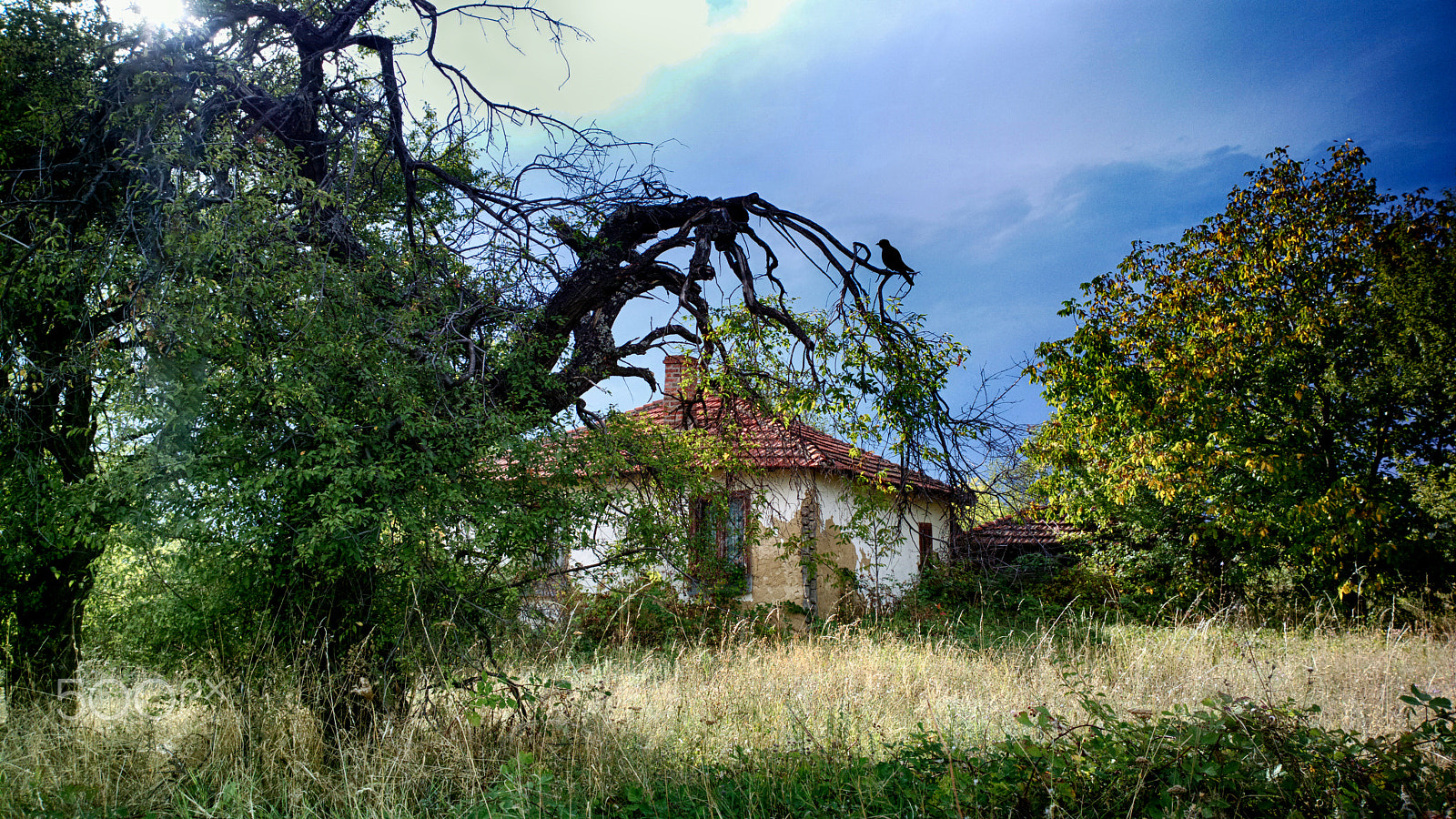 Nokia 808 PureView sample photo. Old house photography