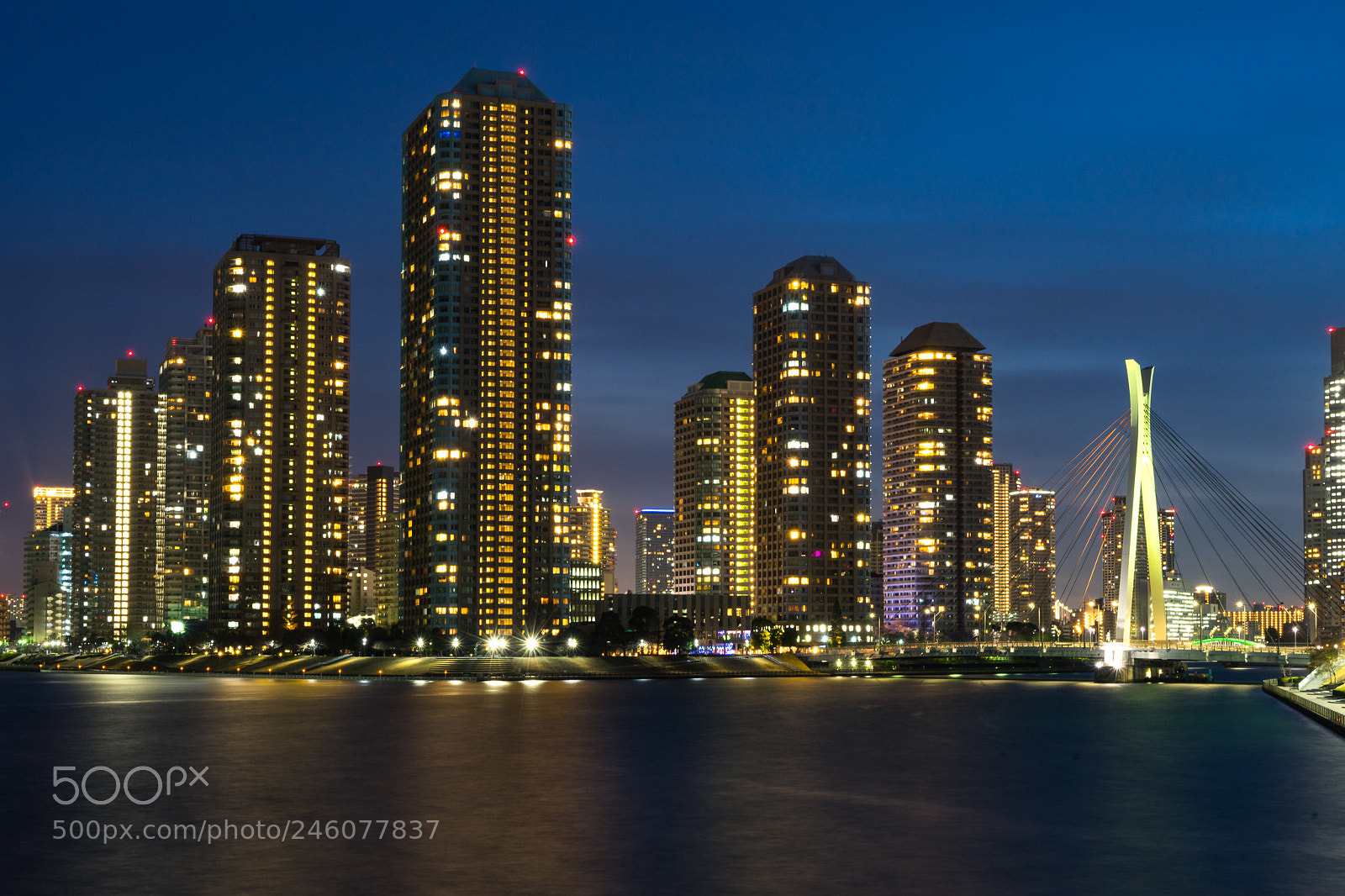 Sony a7 II sample photo. Sumida river photography