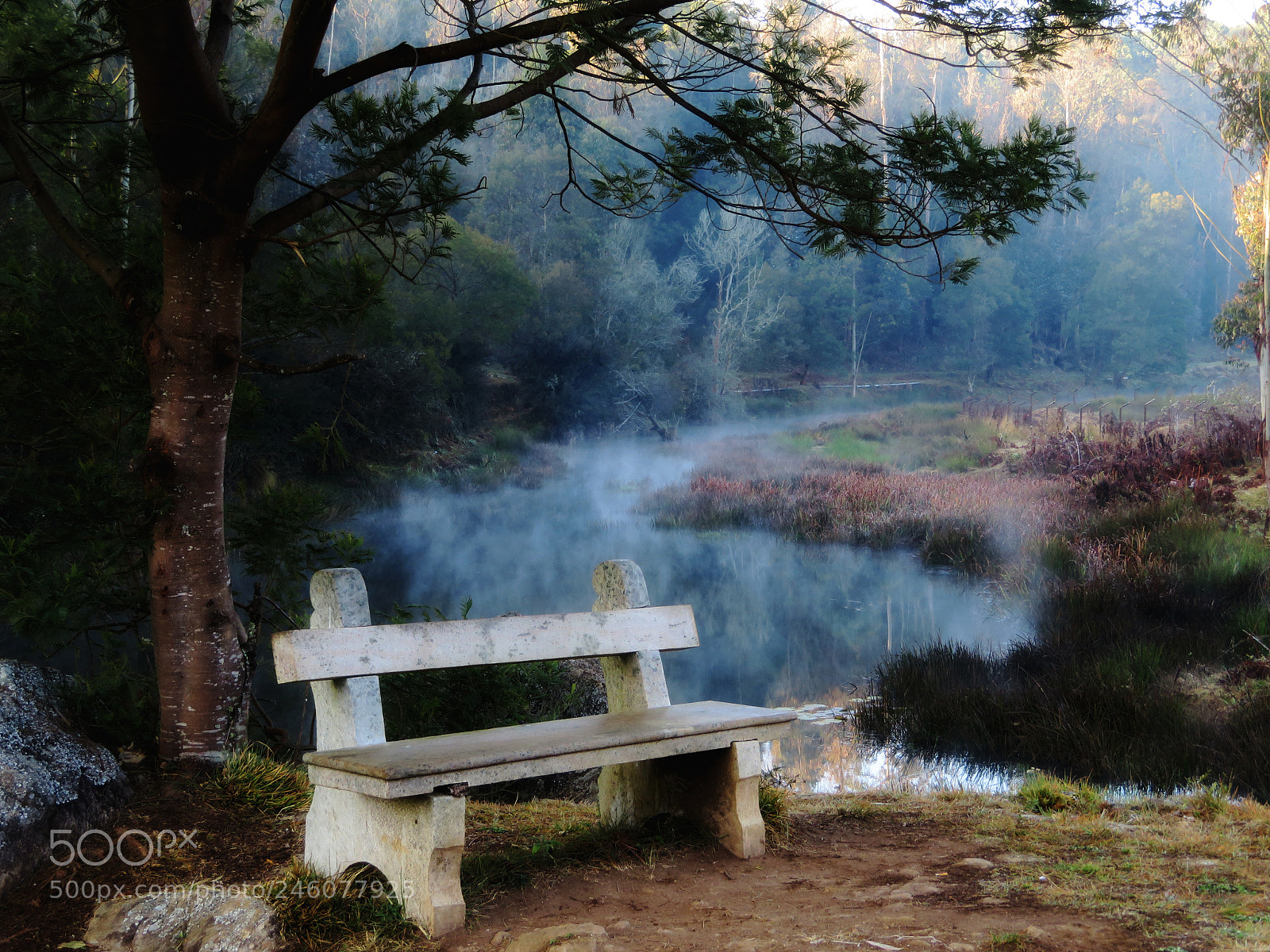 Canon PowerShot SX720 HS sample photo. Like a dream space photography