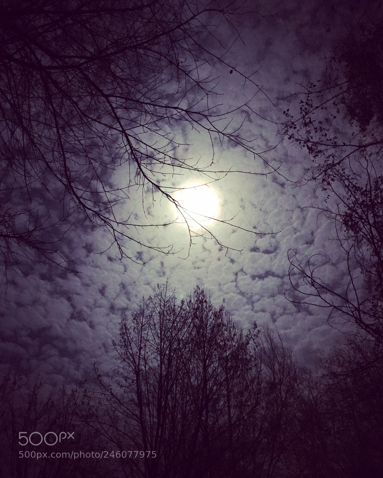 Apple iPhone 7 sample photo. Untitled photography