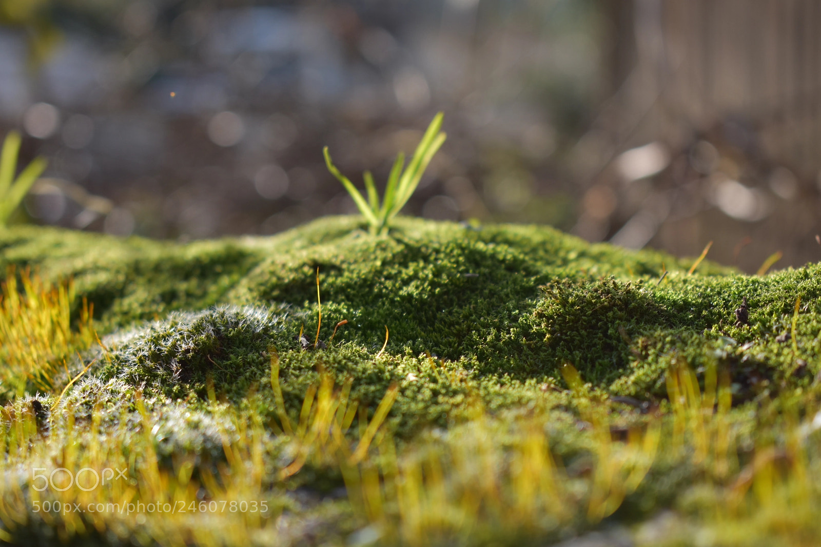 Nikon D3400 sample photo. Just like mountain photography