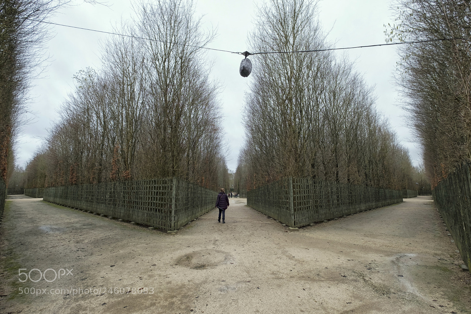 Fujifilm X-T2 sample photo. Gardens of versailles dscf8613-1.jpg photography