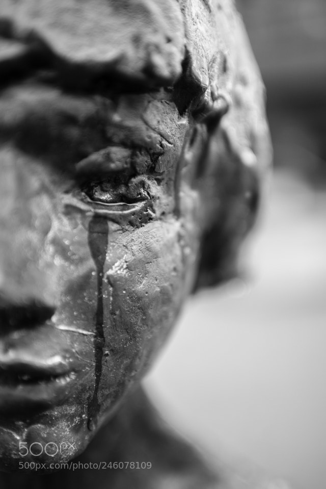 Nikon D600 sample photo. The tear photography