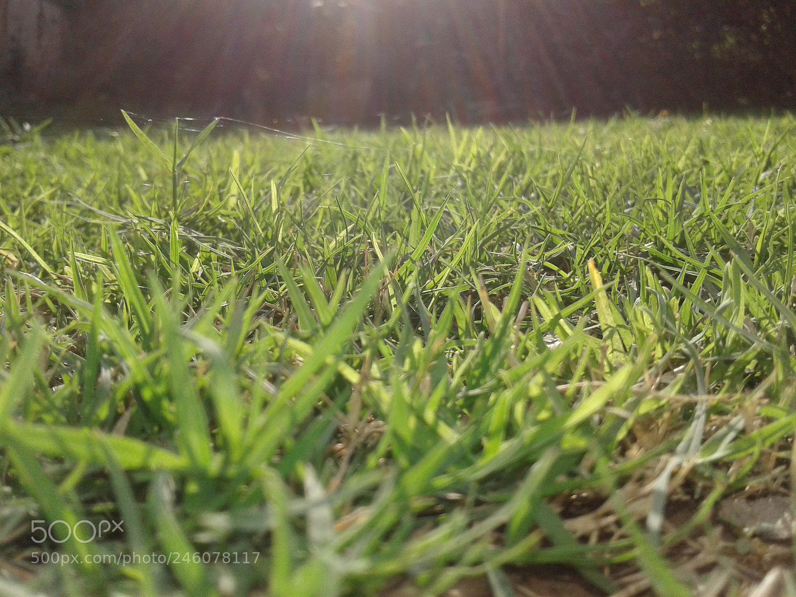 Samsung Galaxy J2 sample photo. Untitled photography