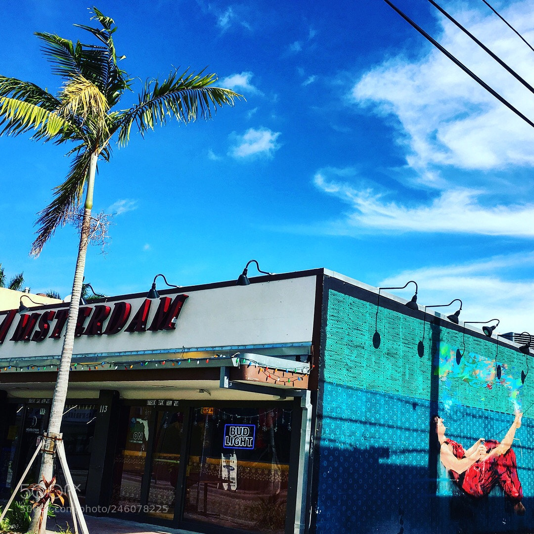 Apple iPhone 6s sample photo. Hollywood florida photography