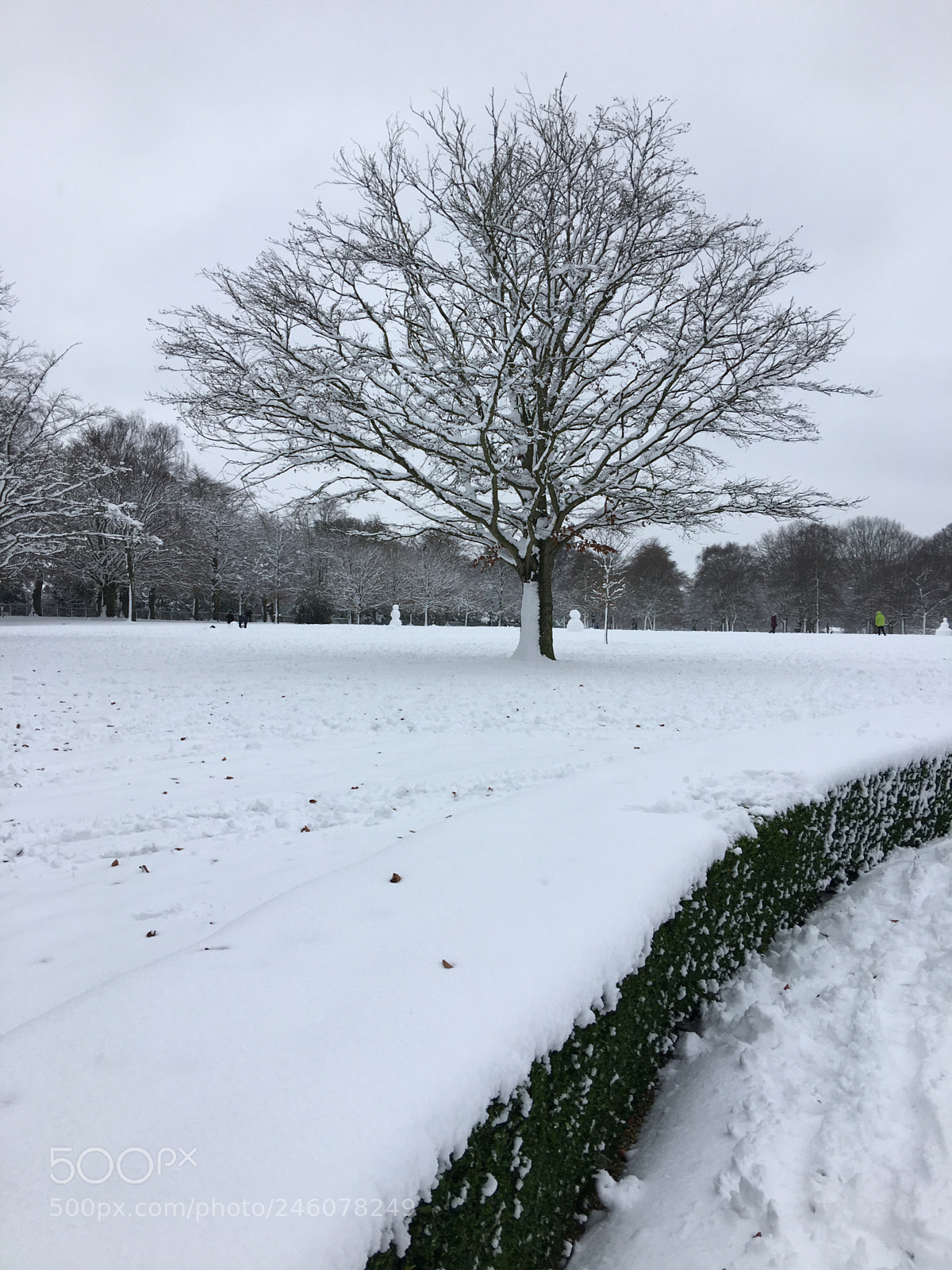 Apple iPhone 6s Plus sample photo. Snow photography
