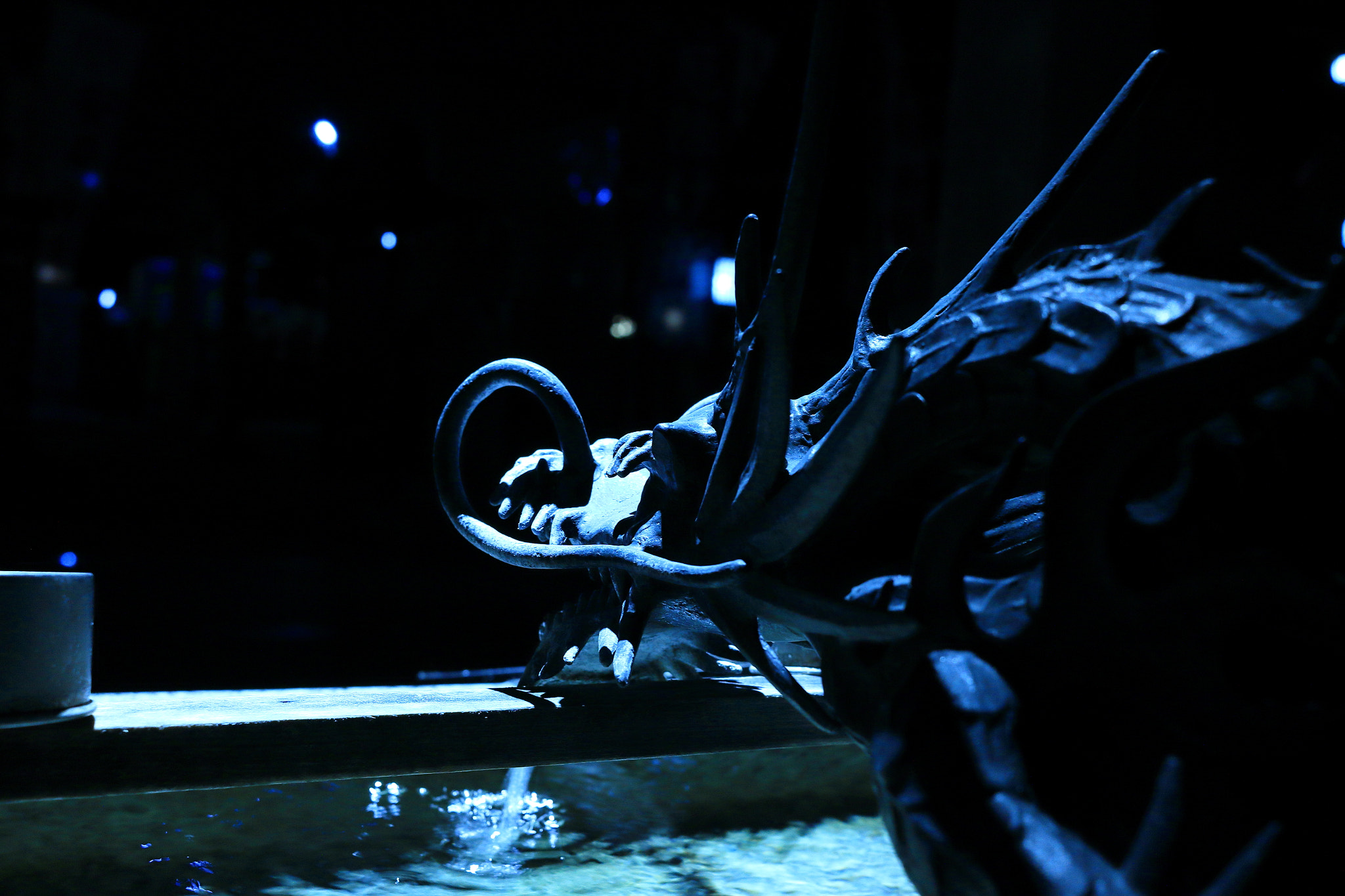 Canon EF-S 24mm F2.8 STM sample photo. Dragon in the dark photography