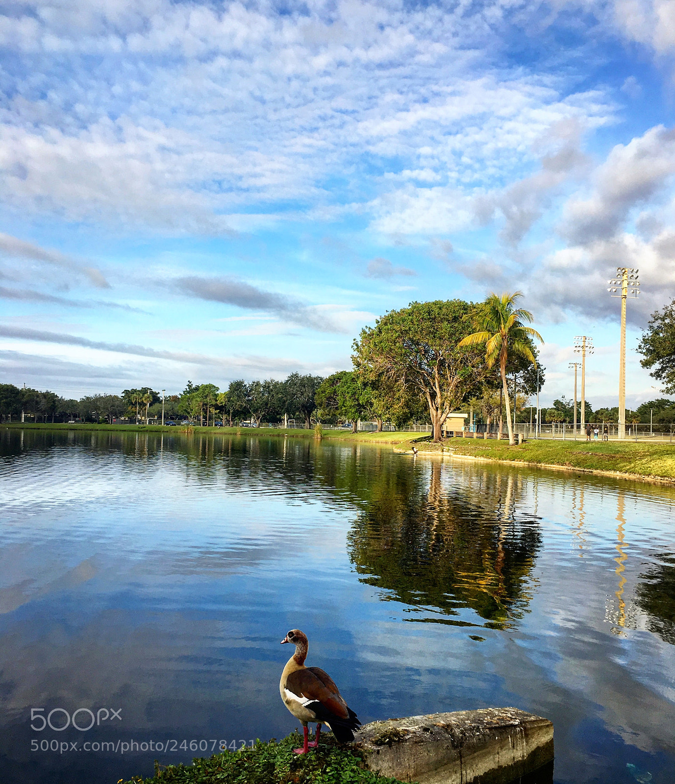 Apple iPhone 6s sample photo. Morning photography