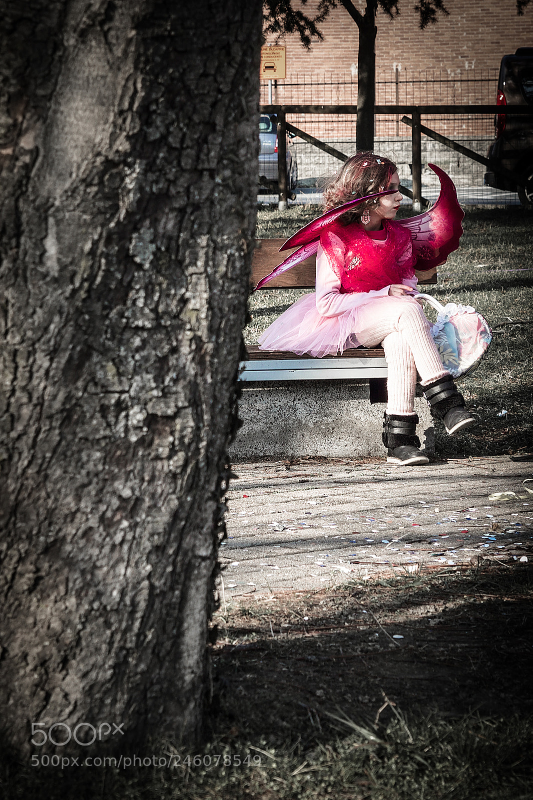 Olympus OM-D E-M5 II sample photo. Pink angel photography