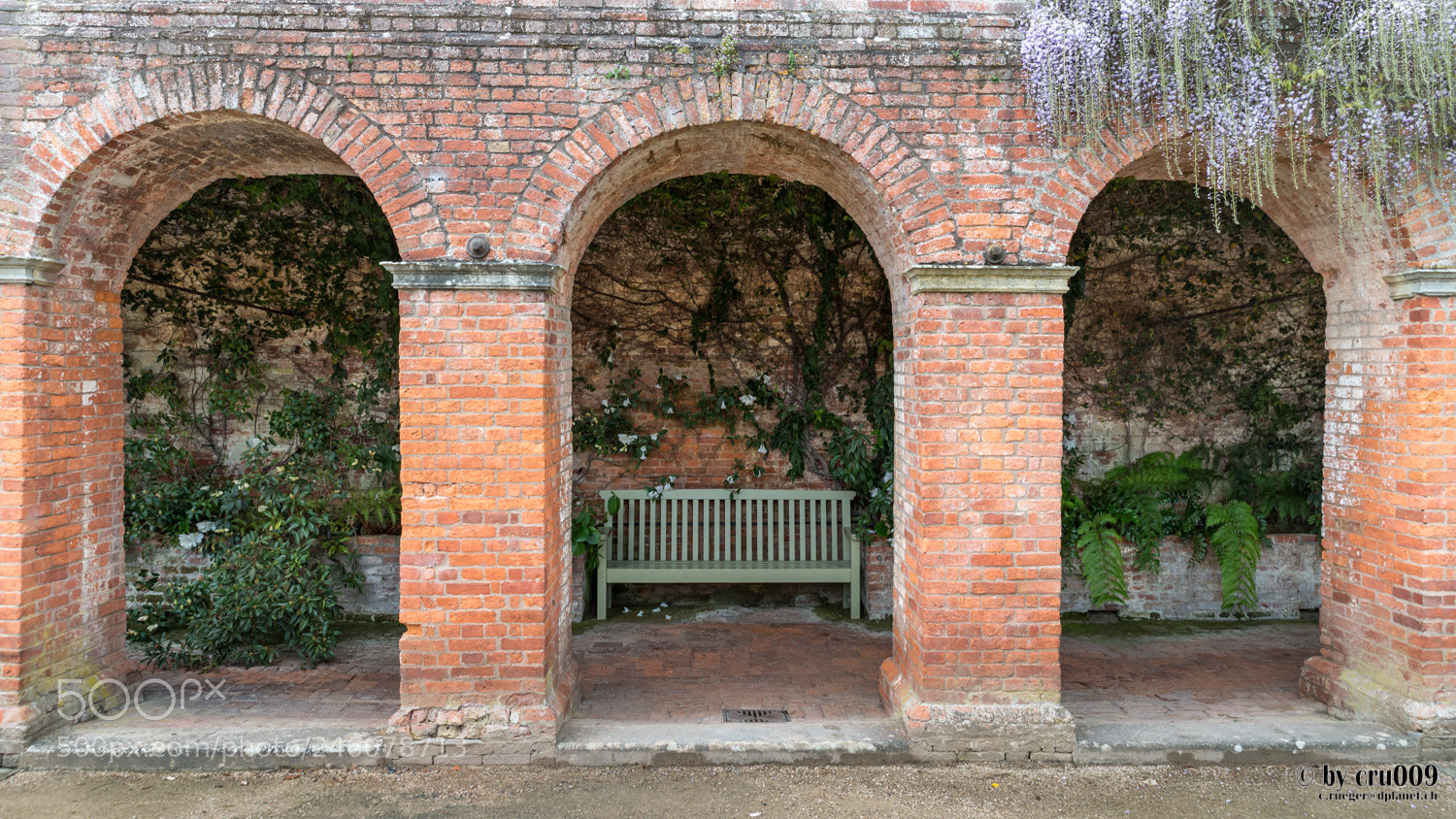 Nikon D610 sample photo. Powis castle - take photography