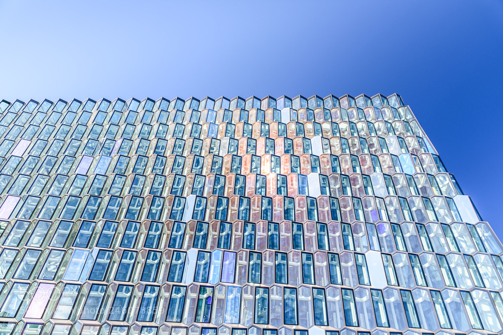 Nikon D7200 sample photo. Harpa photography