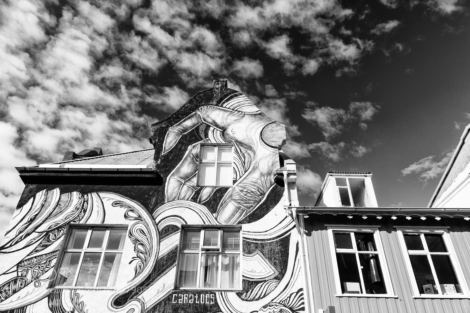 Nikon D7200 sample photo. Graffiti house photography
