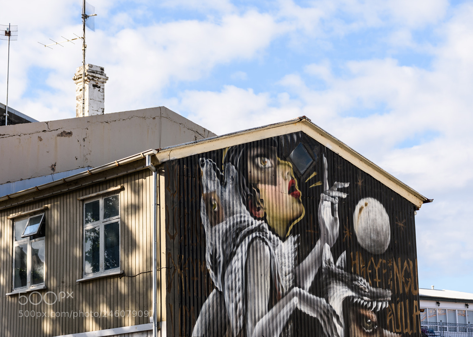 Nikon D7200 sample photo. Graffiti house photography