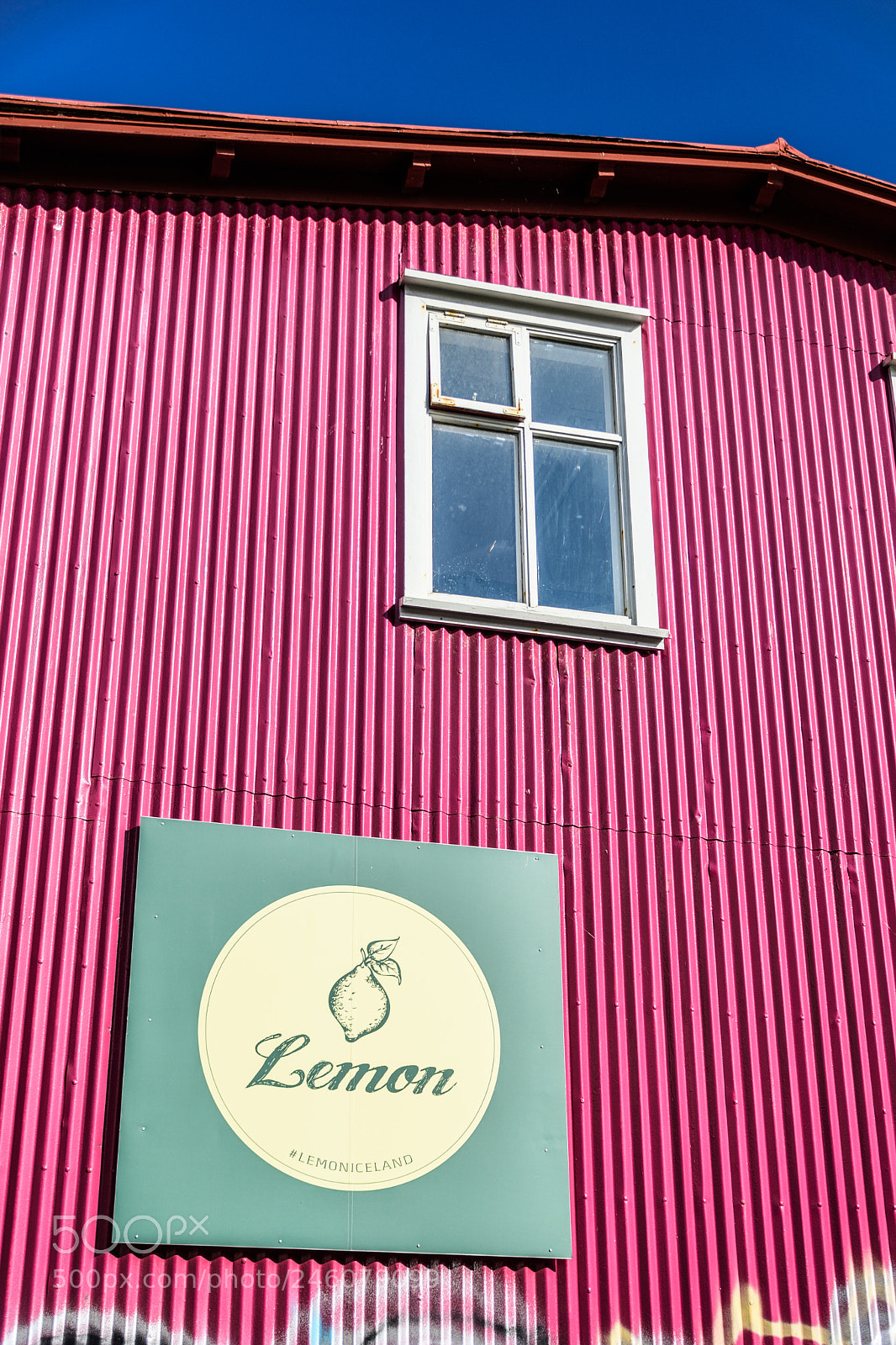 Nikon D7200 sample photo. Lemon photography